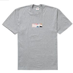 Supreme / Pucci Box Logo Tee Heather Grey Dusty Pink (Large)